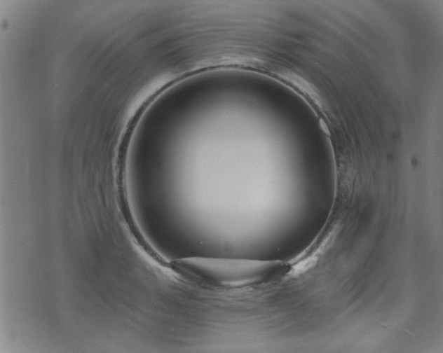 X0000072941135200607211055