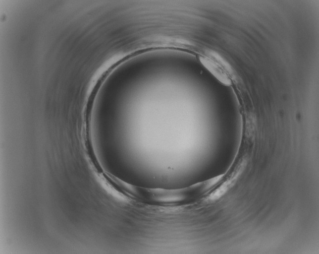 X0000072941136200607211055