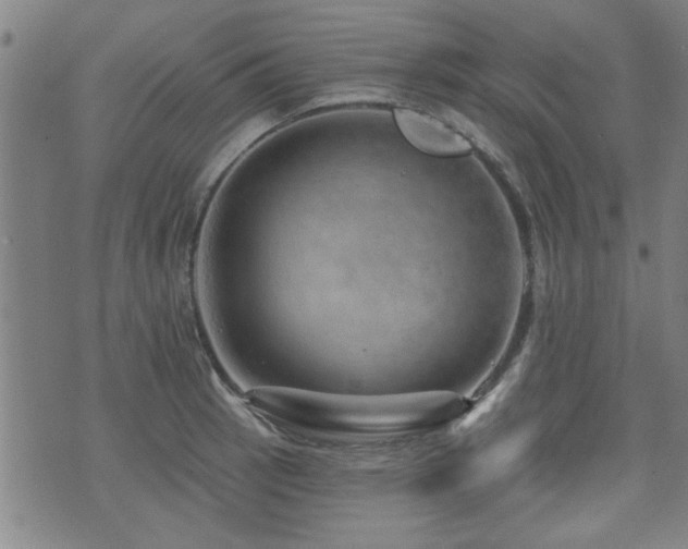 X0000072941137200607211055