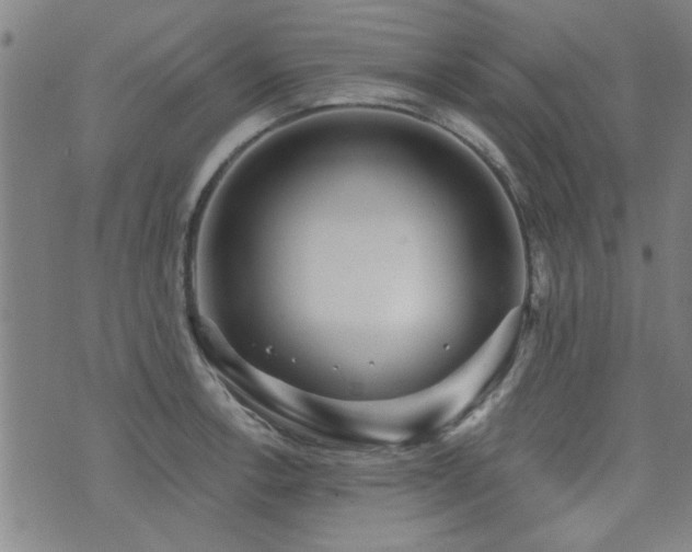 X0000072941138200607211055