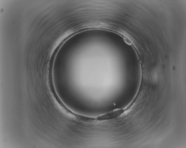 X0000072941139200607211055