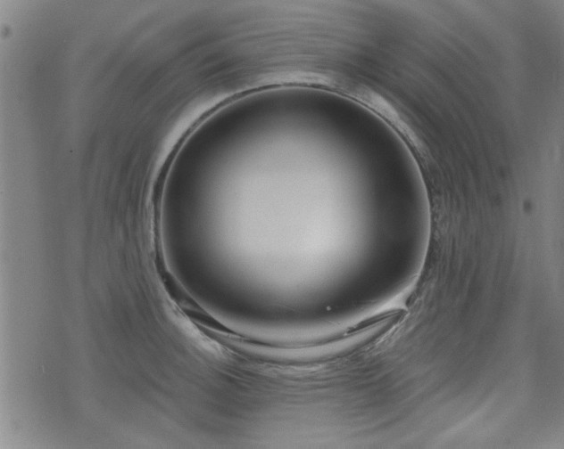 X0000072941140200607211055