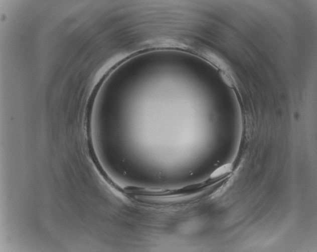 X0000072941141200607211055