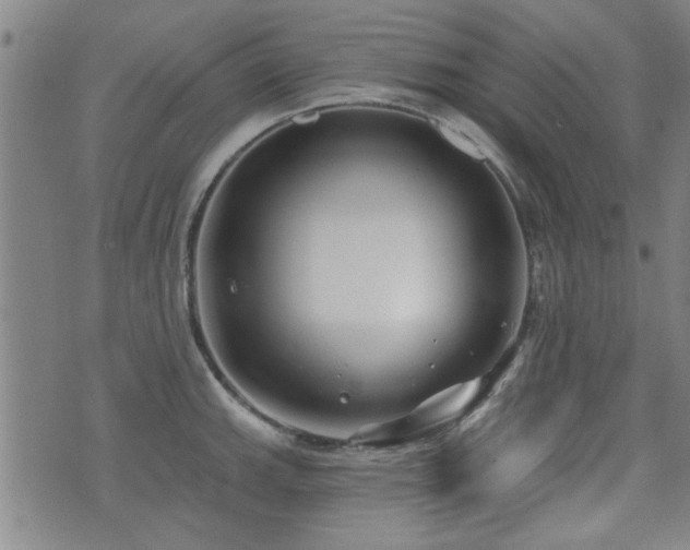 X0000072941143200607211055