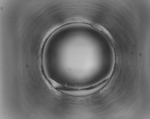 X0000072941144200607211055