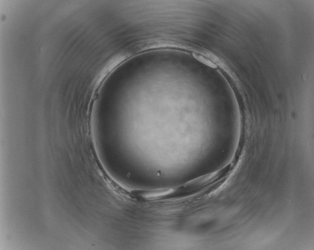 X0000072941145200607211055