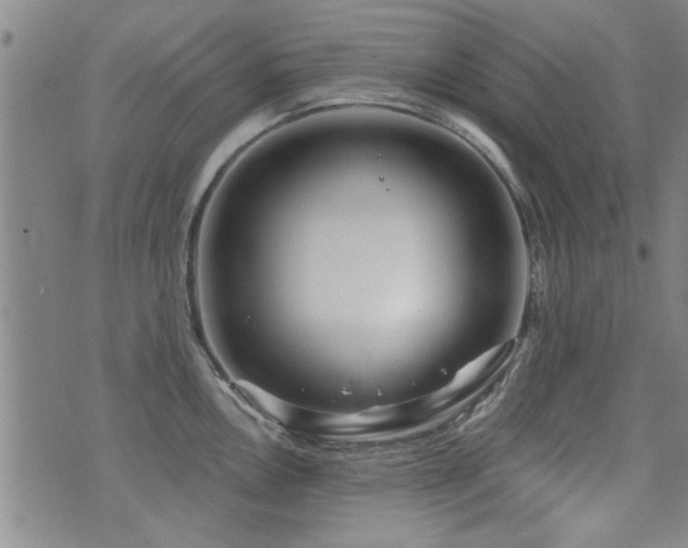 X0000072941146200607211055