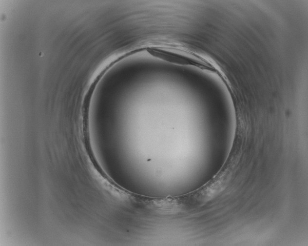 X0000072941147200607211055