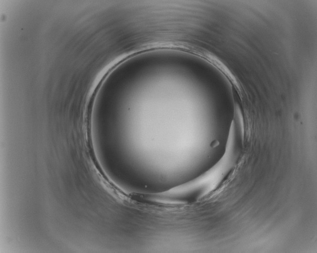 X0000072941148200607211055