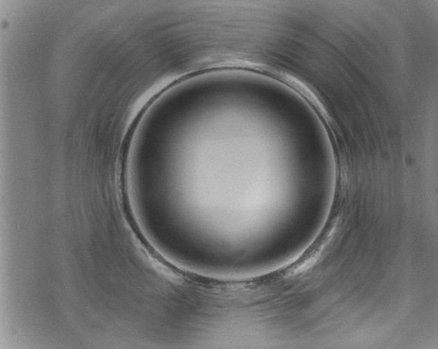 X0000072941149200607211055