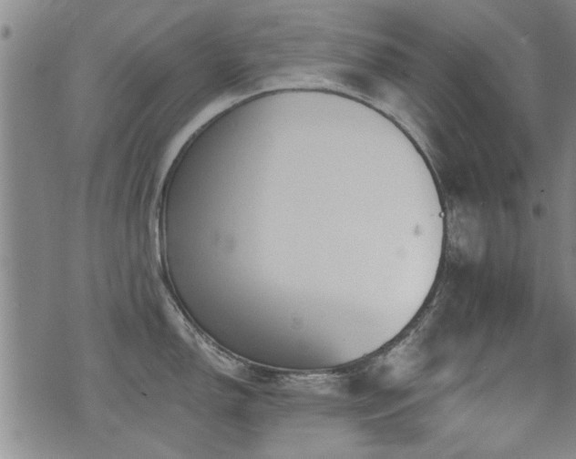 X0000072941150200607211055