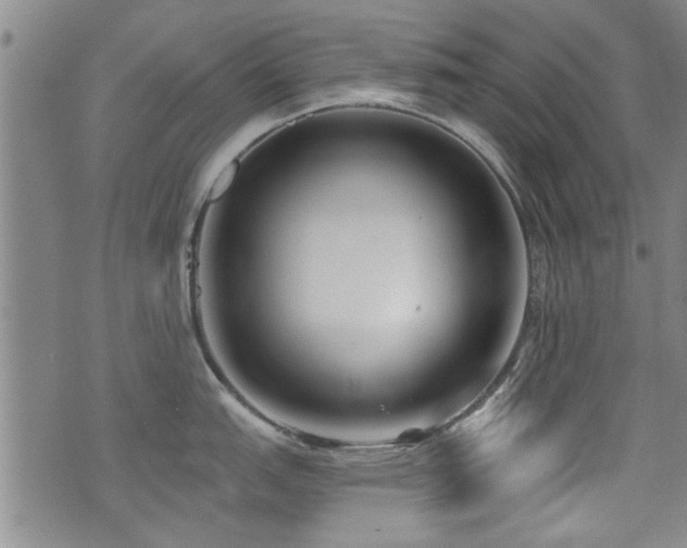 X0000072941151200607211055