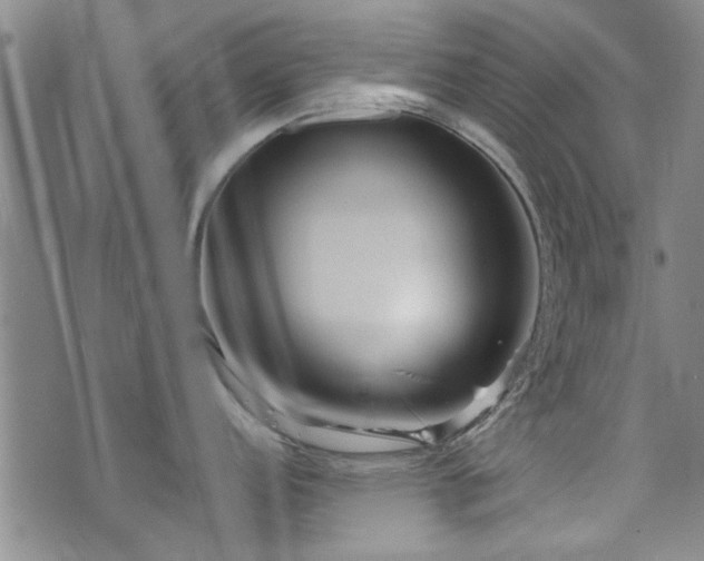 X0000072941152200607211055