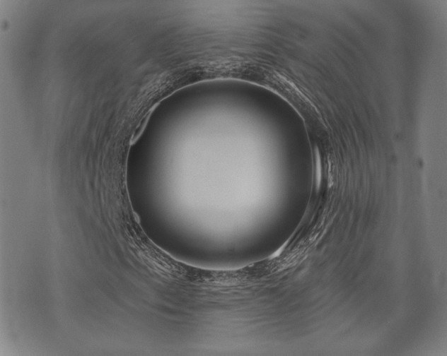 X0000072941153200607211054