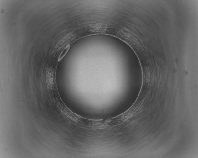 X0000072941154200607211054