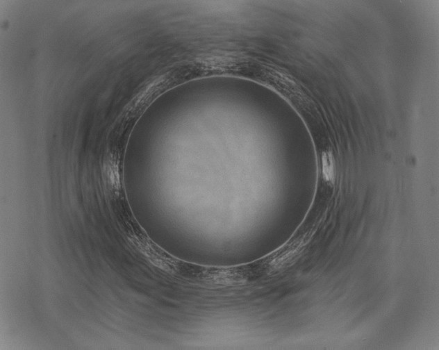 X0000072941155200607211054