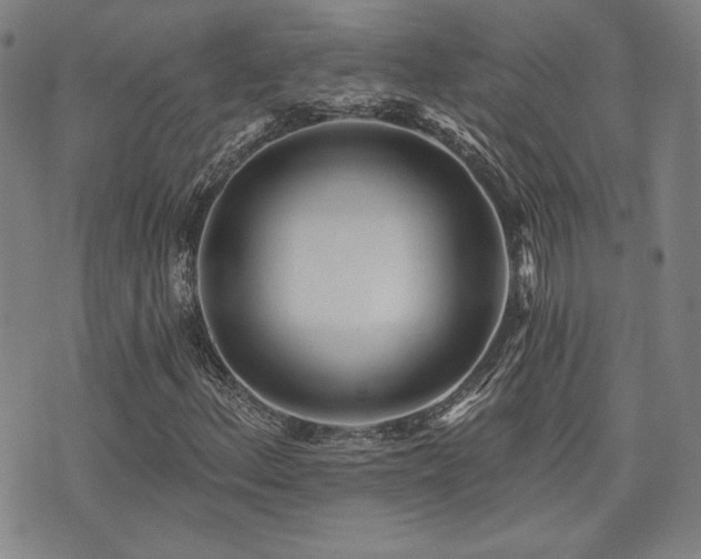 X0000072941156200607211054