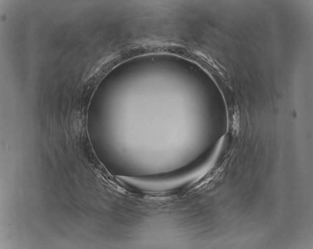 X0000072941157200607211054