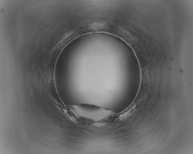 X0000072941158200607211054