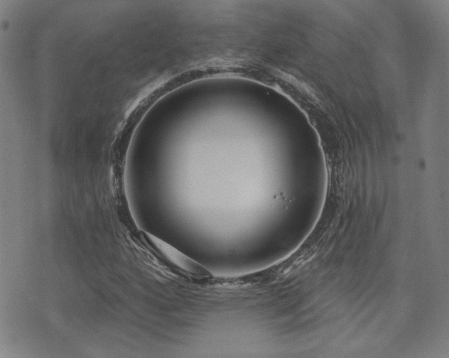 X0000072941160200607211054