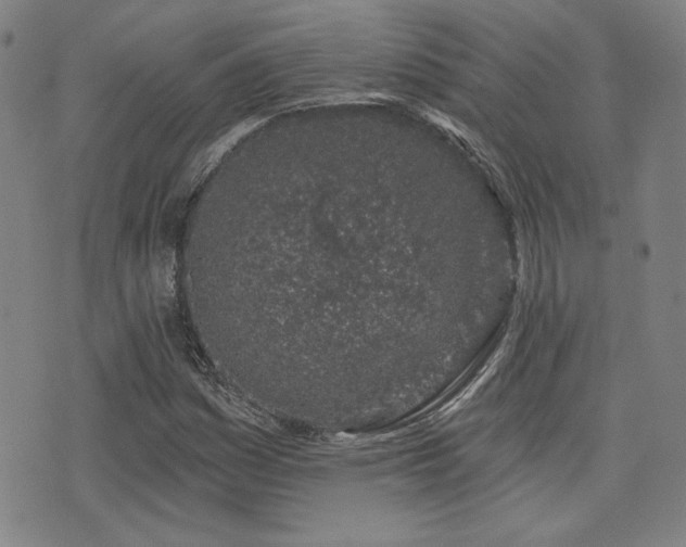 X0000072941161200607211054