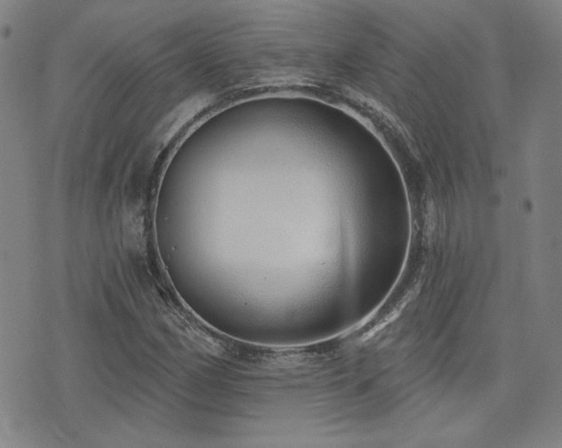 X0000072941162200607211054