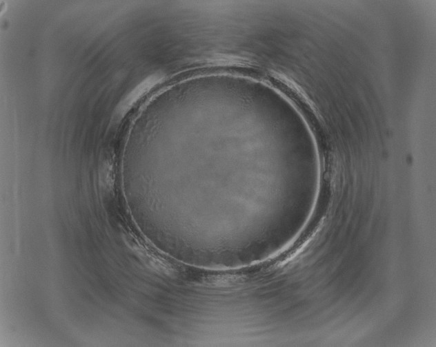 X0000072941163200607211054