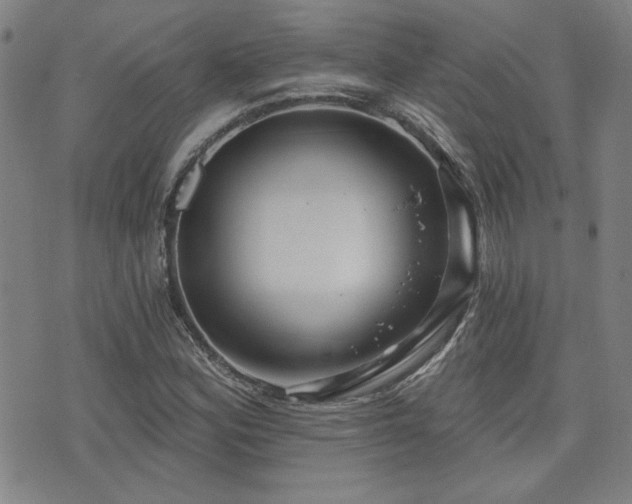 X0000072941164200607211054