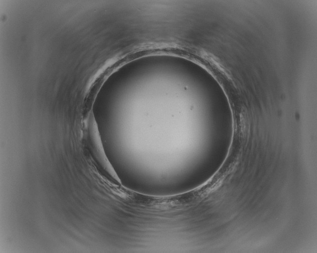 X0000072941165200607211054