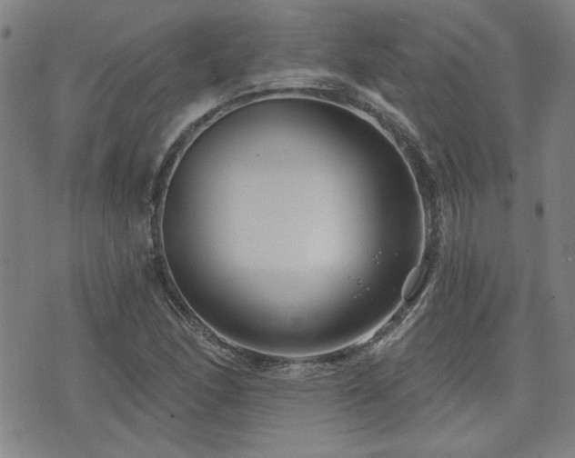 X0000072941166200607211054