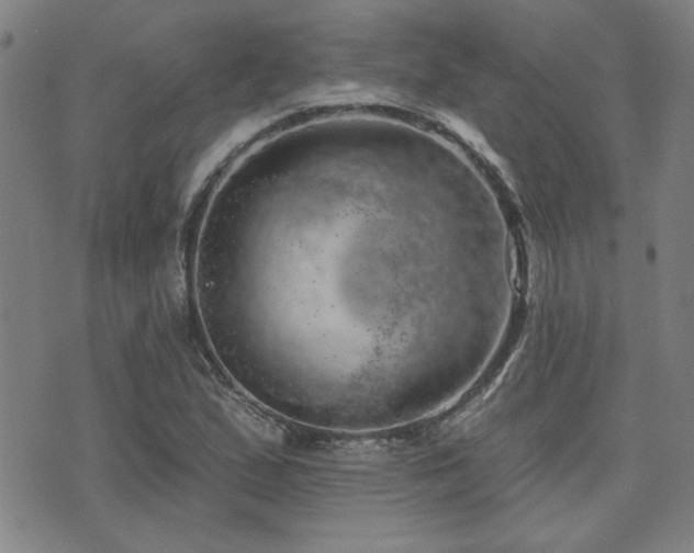 X0000072941167200607211054