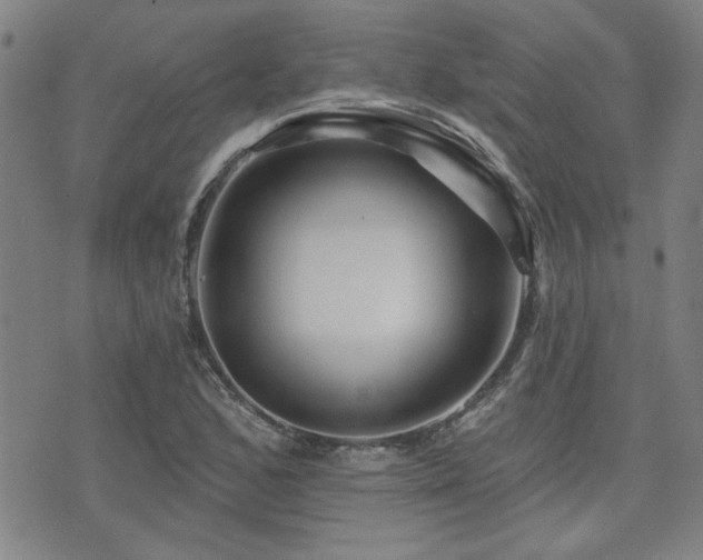 X0000072941168200607211054