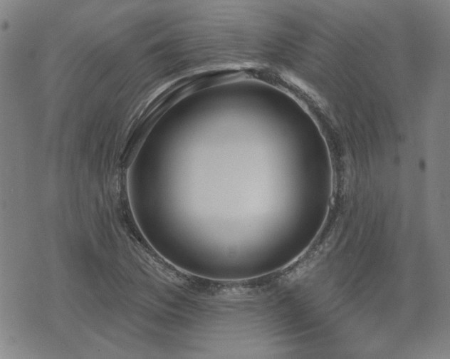 X0000072941169200607211054