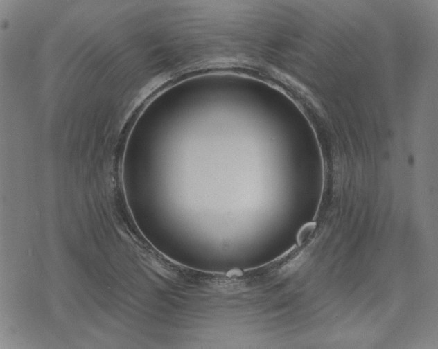 X0000072941170200607211054