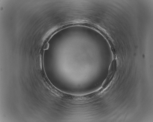 X0000072941171200607211054