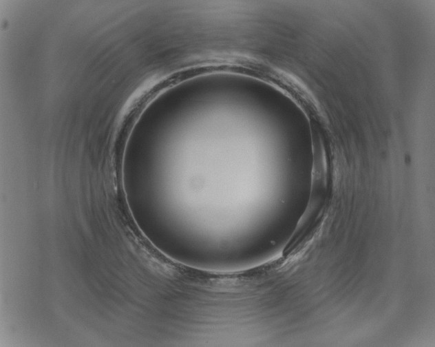 X0000072941172200607211054