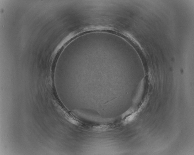 X0000072941173200607211054