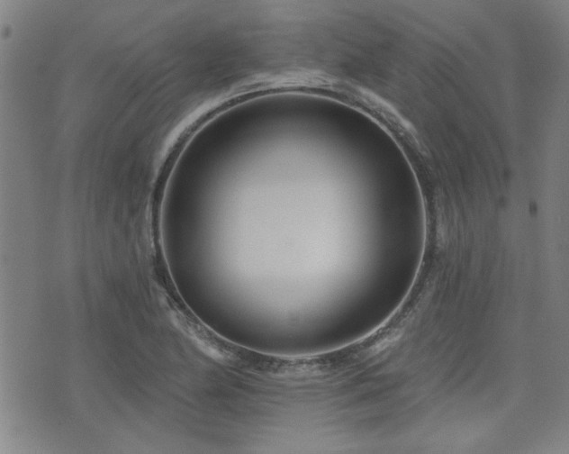 X0000072941174200607211054