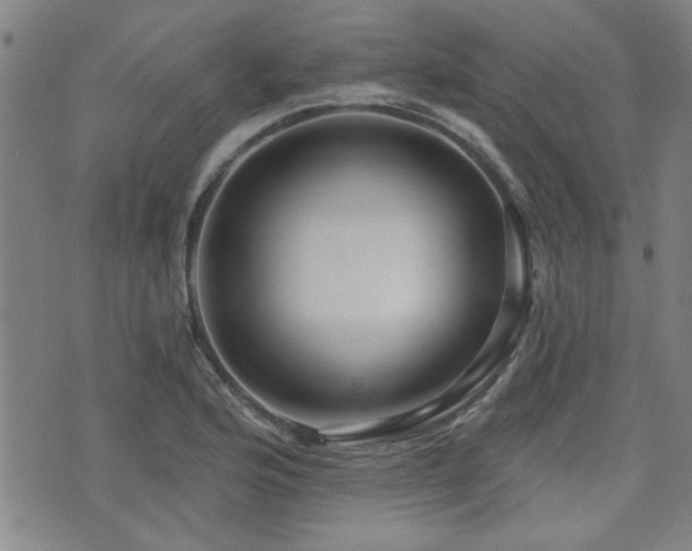 X0000072941176200607211054