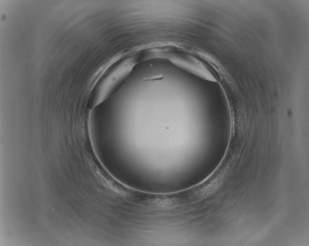 X0000072941177200607211054