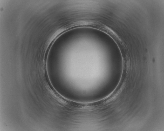 X0000072941178200607211054