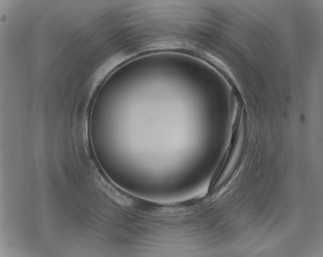 X0000072941179200607211054