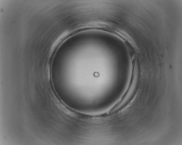 X0000072941180200607211054