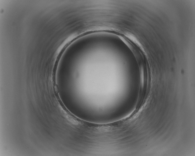 X0000072941181200607211054