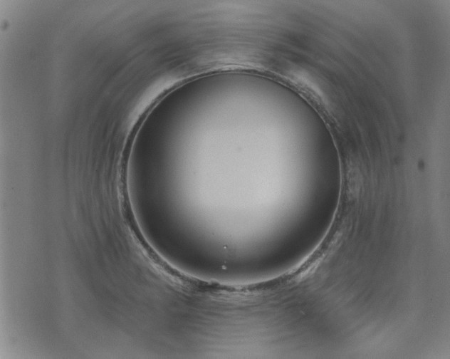 X0000072941182200607211054