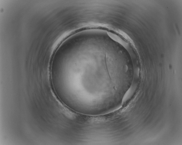 X0000072941183200607211054