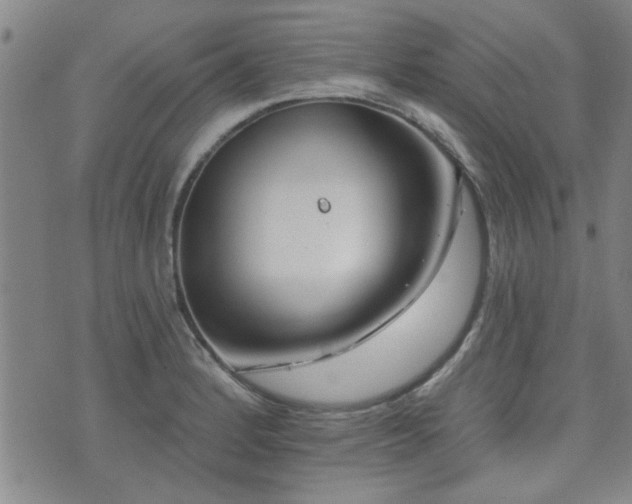 X0000072941184200607211054