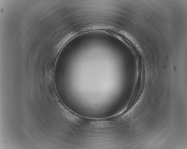 X0000072941185200607211054