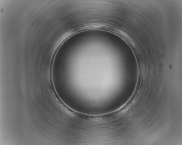 X0000072941186200607211054