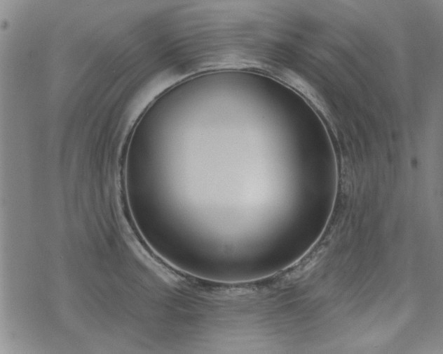 X0000072941187200607211054